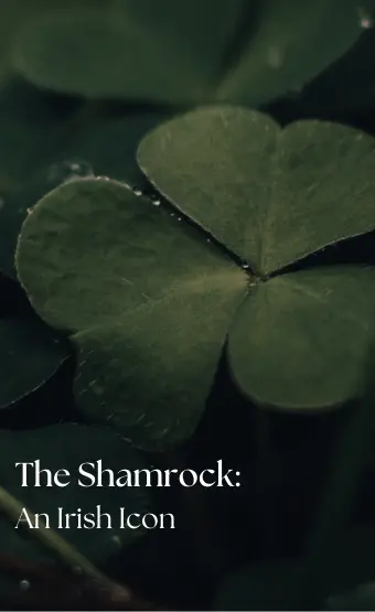 The History of the Shamrock Symbol: Ireland’s Iconic Emblem